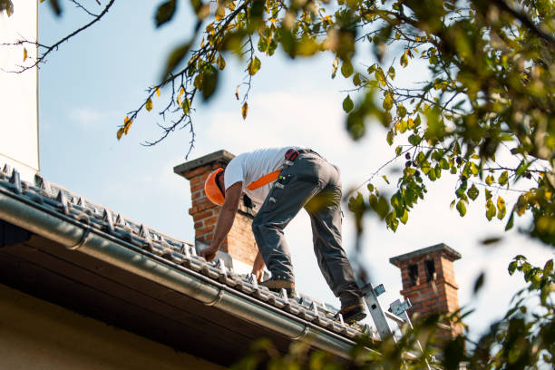 Best Metal Roofing Contractor  in Brockport, NY