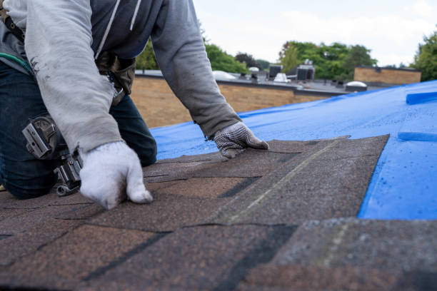 Residential Roof Replacement in Brockport, NY